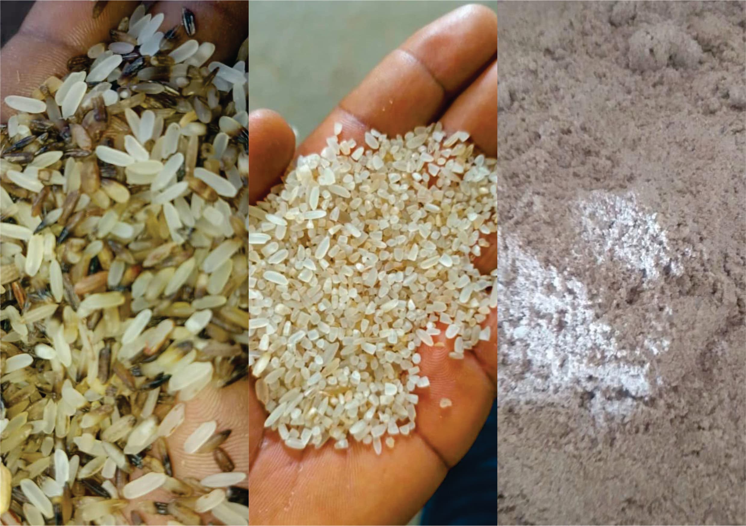 Empire Rice Dishes